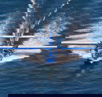 Rathmines Catalina Festival - Hotel NSW