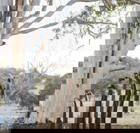 Sculptures in the Garden - Hotel NSW