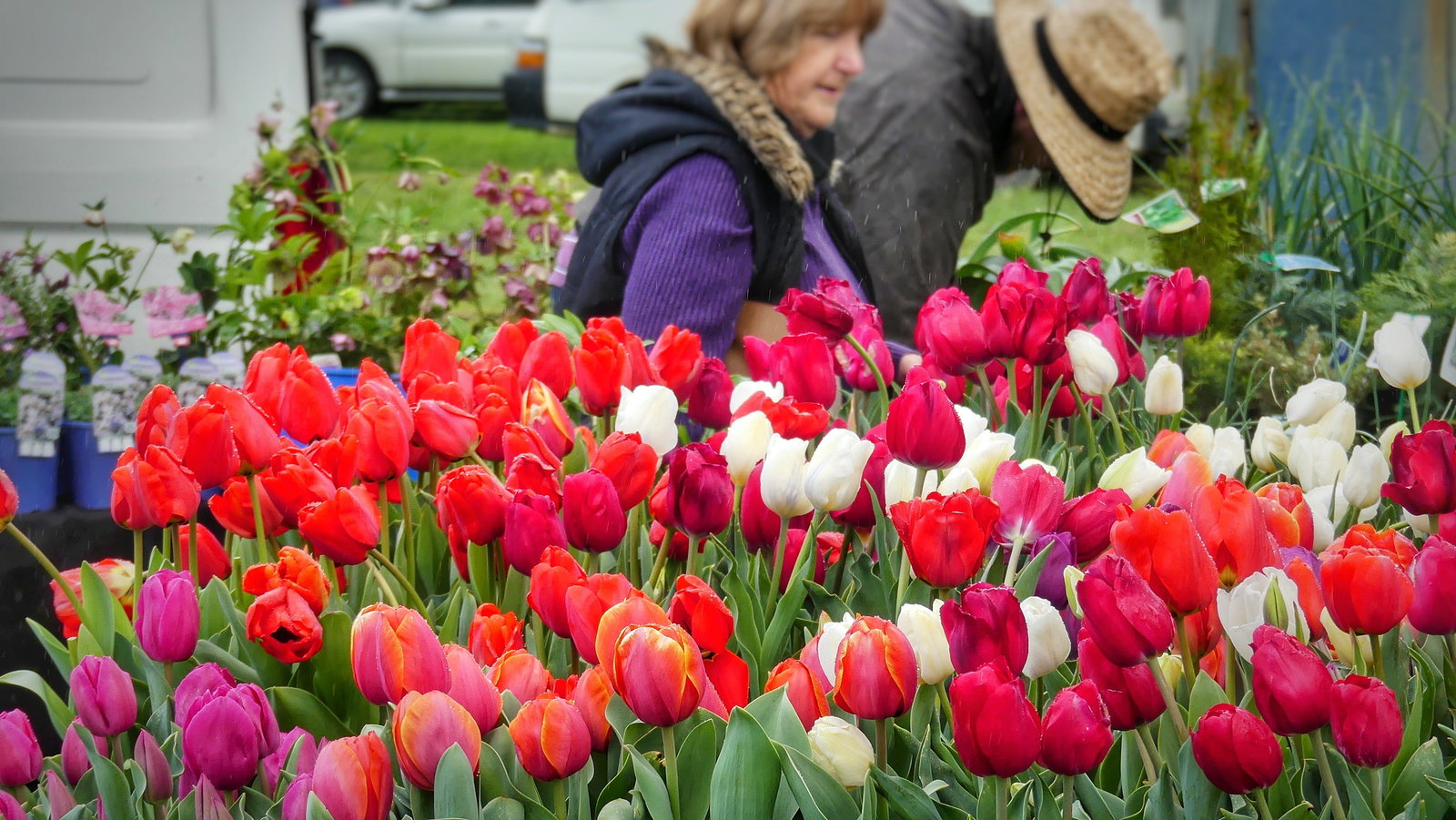 Eden Valley SA Hotel NSW