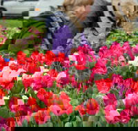 Spring Fling - Hotel NSW