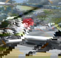 Wings Over Illawarra - Hotel NSW