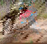 Fox Superflow sealed by Stan's Race  Greenvalleys - Hotel NSW