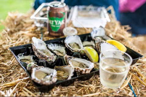 Narooma Oyster Festival - Hotel NSW 1