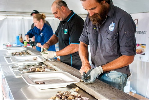 Narooma Oyster Festival - Hotel NSW 2