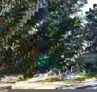 Byron Bay Rainforest Resort
