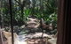 Byron Bay Rainforest Resort - thumb 5