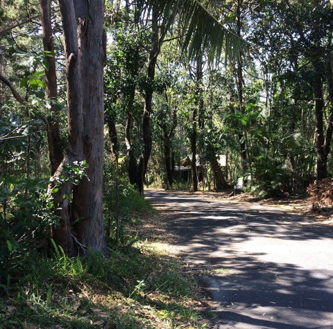 Byron Bay Rainforest Resort - Hotel NSW 3