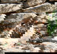 Jenolan Caves House - Hotel NSW