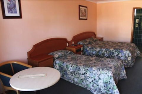 Nandewar Motor Inn - Hotel NSW 4