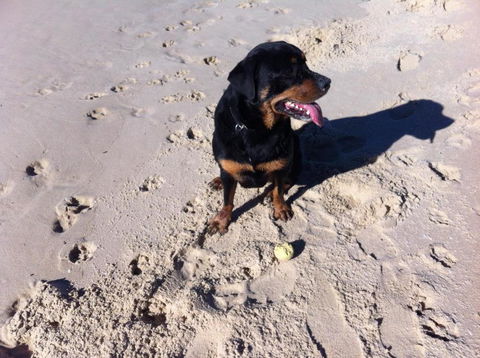 The Beach Townhouse - Hotel NSW 1