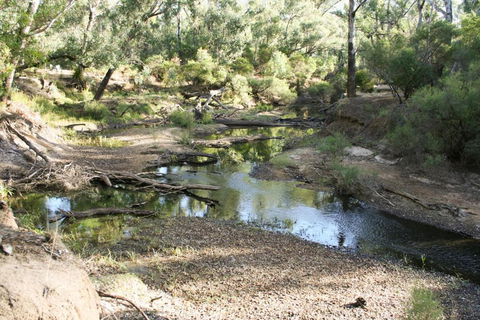 Barrabup Sanctuary BirdHide - Hotel NSW 4