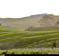 Ketchup's Bank Glamping - Hotel NSW