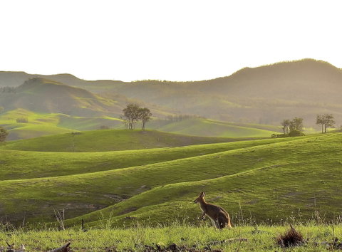 Ketchup's Bank Glamping - Hotel NSW 0