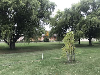 Snowy Mountains Coach And Motor Inn - Hotel NSW 4