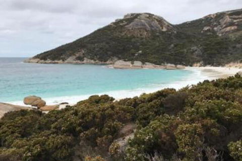 Zephyr Studio - Hotel NSW 6