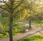 A Suite Spot in the Hills - Hotel NSW