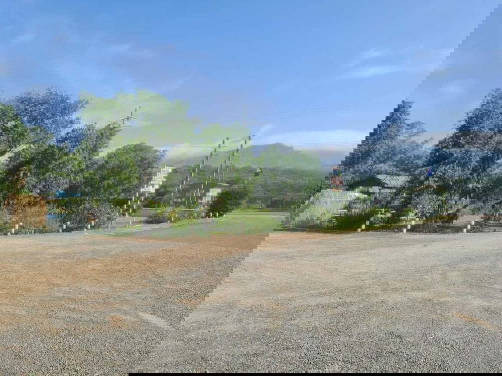 Scotts Creek NSW Hotel NSW