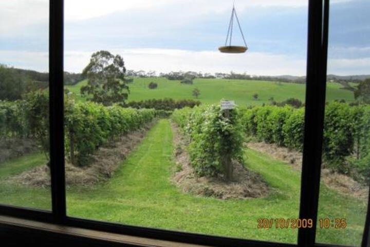 Whoorel ACT Hotel NSW