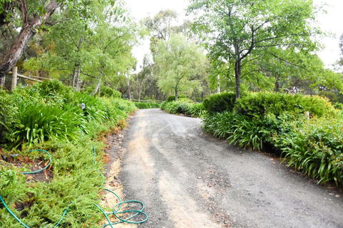 Avoca Park - Hotel NSW 4