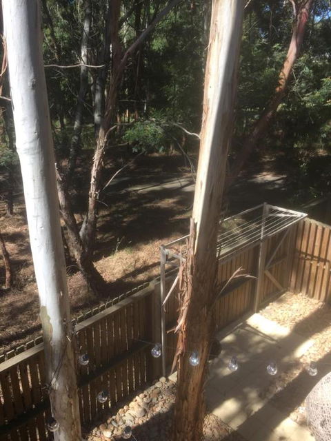 Tangles - Hotel NSW 6