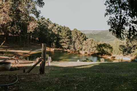Nannup Hideaway - Hotel NSW 6