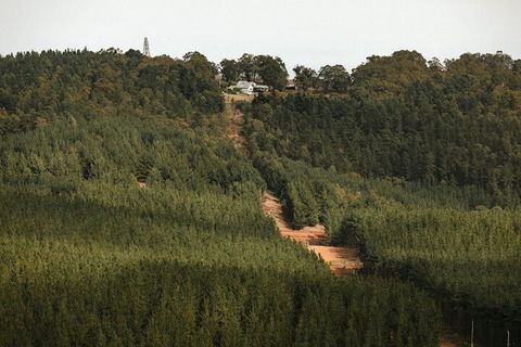 Nannup Hideaway - Hotel NSW 4