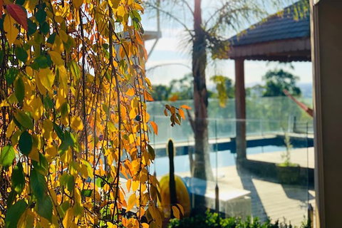 Grand Gippsland Home Sleeps Up To 28 - Hotel NSW 2