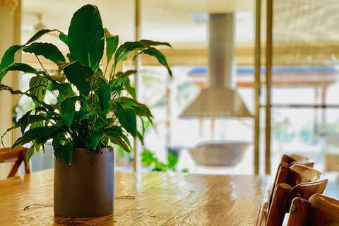 Grand Gippsland Home Sleeps Up To 28 - Hotel NSW 4