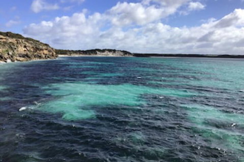 Koopalanda Dreaming - Hotel NSW 0