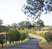 voco Kirkton Park Hunter Valley  an IHG Hotel