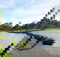 Amity Apartment Hotels - Hotel NSW