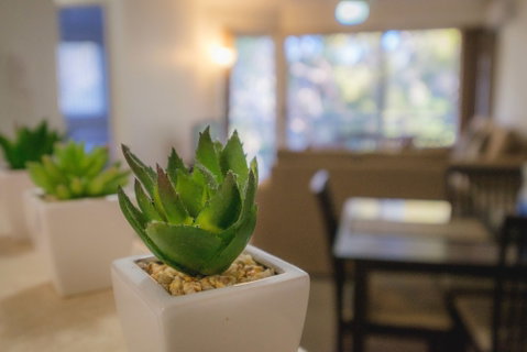 Sanctuary Lake Apartments - Hotel NSW 6