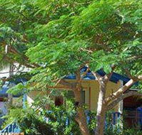 Amber Gardens Guesthouse - Hotel NSW