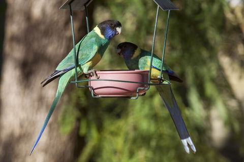 Kathys Place Bed And Breakfast - Hotel NSW 2