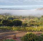 Pecan Hill BNB - Hotel NSW