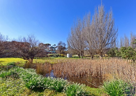 Ventnor Guest House - Hotel NSW 6