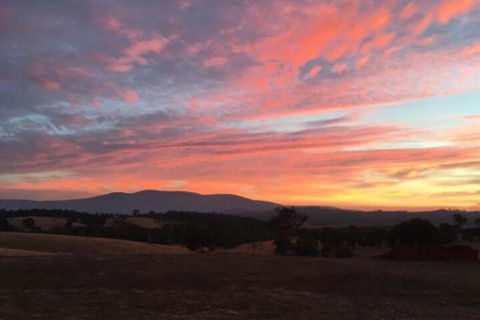 Country Budget - Hotel NSW 6