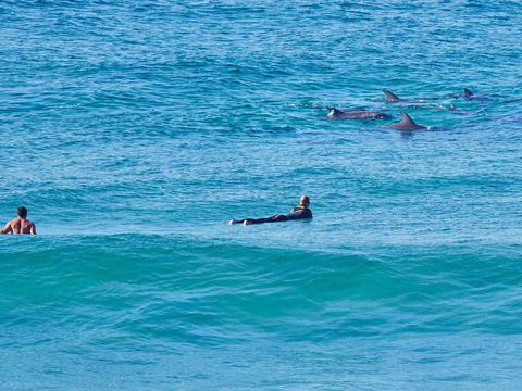Beach Front Bliss - Hotel NSW 3