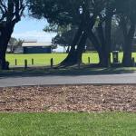 Yaringa Cottage...by The Sea - Hotel NSW 0