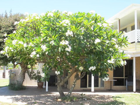 Kalbarri Riverfront Unit - Hotel NSW 3