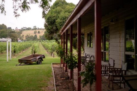 Fergusson Winery Homestead Accomodation - Hotel NSW 2