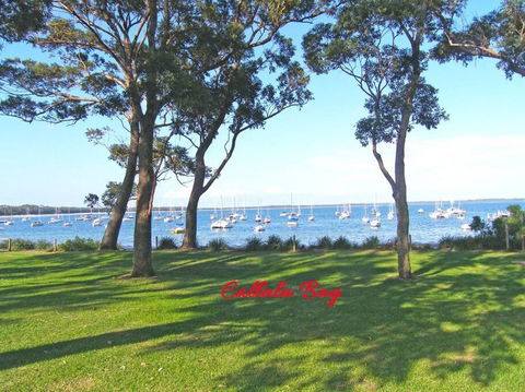 CHAP14C Chapman Cottage - Hotel NSW 3