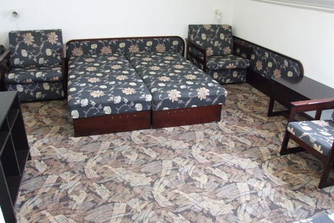 Blackboy Tree Motel - Hotel NSW 4