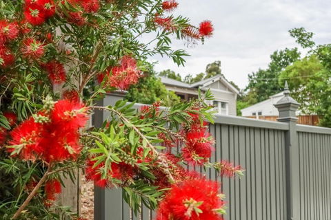 Vintage Charm On St. Leonards - Hotel NSW 5