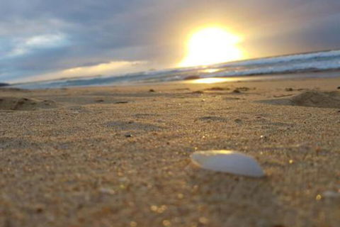 Eagles Loft - Hotel NSW 6