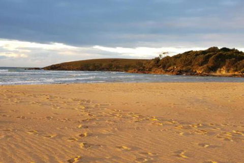 Eagles Loft - Hotel NSW 5