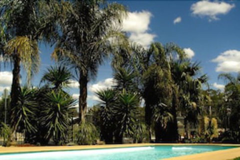 Echuca Motel - Hotel NSW 0