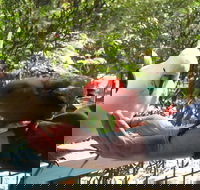 Lorne Bush House Cottages  Eco Retreats - Hotel NSW