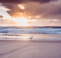 Blue Waters Motel - Hotel NSW