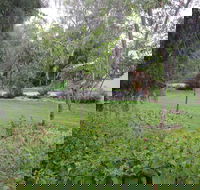 Amy's House - Hotel NSW